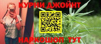 jwh Новозыбков